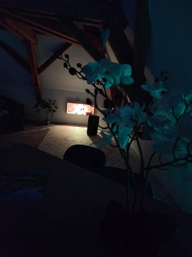 Apartament Nid De Cigogne Illhaeusern Zewnętrze zdjęcie